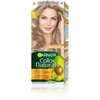 GARNIER Color Naturals plaukų dažai Nr. 8.1 - Peleniniai šviesiai blondinai 1 pak