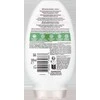 Garnier Botanic Therapy avižų delikatesas, 200 ml