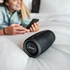 Niceboy RAZE 2 Ego Bluetooth 5.0 belaidis garsiakalbis / FM / Aux / USB / Micro SD / 12 W