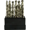 Grąžtas Geko grąžtų RINKINYS SIDABRINIŲ GRĄŽŲ METALUI GEKO 1-13MM/25PCS(20) G38215 GEKO