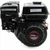 Geko vidaus degimo variklis 6,5 AG Loncin 196cc 19mm EURO 5 (1)