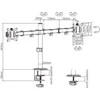 Gembird MA-D2-01 monitoriaus laikiklis / stovas 17" - 32"
