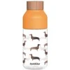 „Quokka Ice“ – „Ecozen“ vandens buteliukas, 570 ml (taksui)