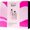 Ref Stockholm Dovanų dėžutės rinkinys REF: „Illuminate Colour“ plaukų šampūnas be sulfatų stiprinimui, 285 ml + „Illuminate Colour“ plaukų kondicionierius be sulfatų maitina ir stiprina plaukų atspalvį, 245 ml + „Eliksyras“ plaukų serumas, suteikiantis blizgesio, 80 ml