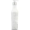 GK hair Global Keratin Shield Additive plaukų šampūnas ir kondicionierius 2 viename atkuriamasis ir stiprinamasis, 240 ml