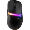 Pelė Glorious Model D3 Wireless (GLO-D3-WL-BLK)