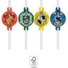 Globos Europe Bv GoDan Popieriniai vamzdžiai su Harry Potter medalionu 4vnt.