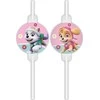 Globos Europe Bv Popieriniai vamzdeliai su Paw Patrol medalionu 4vnt