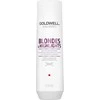 Dažytų plaukų šampūnas Goldwell Color Brilliance Šampūnas 250ml
