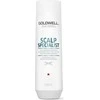 Šampūnas nuo pleiskanų Goldwell Scalp Specialist Anti-dandruff Šampūnas 250ml