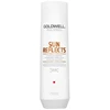 Goldwell Goldwell, Dualsenses Sun Reflects, Hair Šampūnas, Restoring, 250 ml For Women