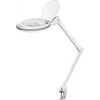 Goobay LED šviestuvas su gnybtu, 8 W