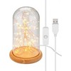 Goobay Stiklinis kupolas su mikro LED šviesos grandine