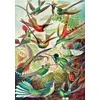 Dėlionė Cenega Imagination Puzzle Ernst Haeckel Hummingbirds 1000 elements