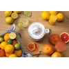 Sulčiaspaudė Gorenje | Citrus Juicer | CJ30E | Type Citrus Juicer | Baltas | 30 W | Greičių skaičius 1
