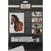 Grafix Ccg Mz Import CCG malowanie po numerach Koń AR1066 38982