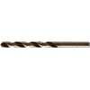Wolfcraft HSS cilindrinis metalinis grąžtas 6,0 mm mm (WF7456010)