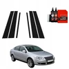 GrizzGlass Karboninė plėvelė stulpams BodyShield skirtas Volkswagen Passat B6 Sedan (2005-2010) [6w1]