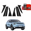 GrizzGlass Karboninė plėvelė ant stulpelių GrizzGlass BodyShield, skirta Ford Explorer EV (2024-2025) [8w1]