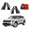 GrizzGlass Carbon plėvelė stovams GrizzGlass BodyShield skirtas Kia Sorento (2023-2025) [10w1]