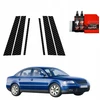 GrizzGlass Karboninė plėvelė stulpams BodyShield, skirta Volkswagen Passat B5 Sedan Facelifting (2000-2005) [6w1]