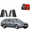 GrizzGlass Karboninė plėvelė ant statramsčių GrizzGlass BodyShield skirtа Skoda Superb 2 Kombi (2009-2013) [10w1]