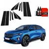 GrizzGlass Karboninė plėvelė stulpams GrizzGlass BodyShield, skirta Renault Rafale (2024-2025) [10w1]
