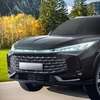 GrizzGlass Apsauginė plėvelė priekiniams žibintams BodyShield, skirta Skoda Octavia 4 Hatchback Facelifting (2024-2025) [2w1]