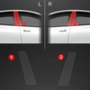 GrizzGlass Apsauginė plėvelė stulpams GrizzGlass BodyShield, skirta Tesla Model Y (2020-2024) [2in1]