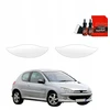 GrizzGlass Apsauginė plėvelė po rankenomis GrizzGlass BodyShield, skirta Peugeot 206 (1998-2009) [2w1]