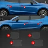 GrizzGlass Apsauginė plėvelė po rankenomis GrizzGlass BodyShield, skirta Seat Ibiza (2021-2025) [4w1]