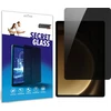 GrizzGlass GrizzGlass SecretGlass privatumo stiklas, skirtas Samsung Galaxy Tab S9 FE Plus