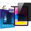 GrizzGlass GrizzGlass SecretGlass privatumo stiklas, skirtas Apple iPad (10 kartos)