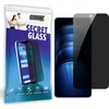 GrizzGlass GrizzGlass SecretGlass privatumo stiklas, skirtas Vivo IQOO Neo9s Pro Plus