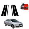 GrizzGlass Juoda plėvelė stulpams GrizzGlass BodyShield, skirta Volkswagen Passat B6 Sedan (2005-2010) [6w1]