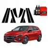 GrizzGlass Juoda plėvelė ant statramsčių BodyShield, skirta Hyundai i30 Hatchback (2020-2025) [10w1]