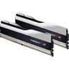 RAM G.SKILL Trident Z5 DDR5 32GB 2x16GB 6000MHz CL30 1.35V XMP 3.0 sidabrinis