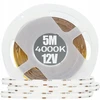 GTV LED Strip COB 12V, 480LED/m, 8mm, 10W/m, without gel, neutral baltas