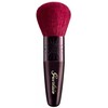 Guerlain Terracotta Bronzer Bronzer