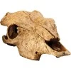Exo Terra EXOTERRA - Cave Buffalo Skull - (222.2057)
