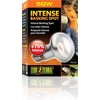 EXOTERRA - Intensyvi šviesa kaitinimuisi 50W S20 E27 oranžinė - (220.2450)