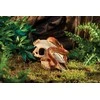 Exo Terra EXOTERRA - Cave Buffalo Skull - (222.2057)