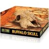 Exo Terra EXOTERRA - Cave Buffalo Skull - (222.2057)