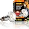 EXOTERRA - Intensyvi šviesa kaitinimuisi 50W S20 E27 oranžinė - (220.2450)