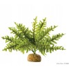 Exo Terra Hagen HAG.ROSL.D/TERRAR.BOSTON GERN 22CM 2990 - 58780
