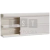 Hager Polo GBD5013109016 tehaselit.GBD Elektros instaliacijos kanalas 50x130mm 2 kamerų baltas GBD5013109016 /2m