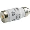 Hager saugiklis BiWtz 25A D02 gG 400V (LE1825)