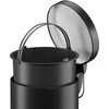 Hailo Šiukšliadėžė „Selekta S“ / 5 l / matinės juodos spalvos 4007126244864