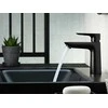Praustuvo maišytuvas Hansgrohe Talis E 71713670