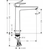 Praustuvo maišytuvas Hansgrohe 71717670, juodas matinis